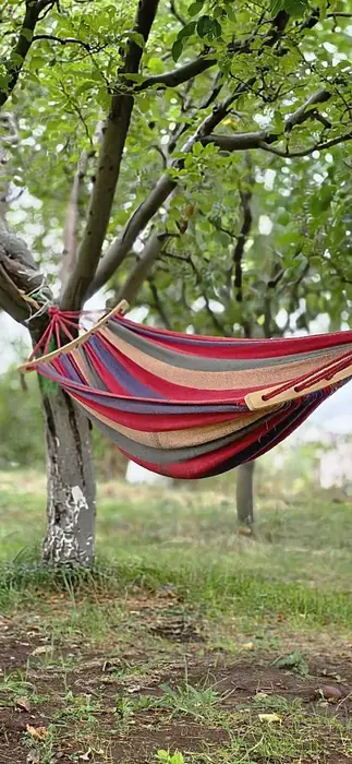 Striped hammock hanging between two walnut trees